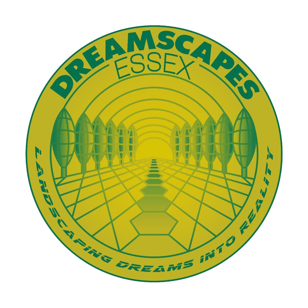 Dreamscapes Essex